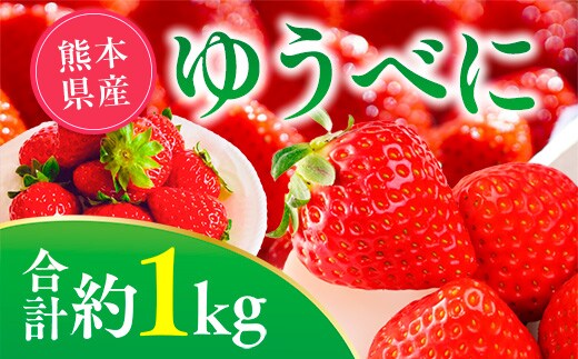【先行予約】ゆうべにいちご 約1kg 果物 くだもの 旬 ジャム 季節の果物 【2026年2月上旬より順次発送】