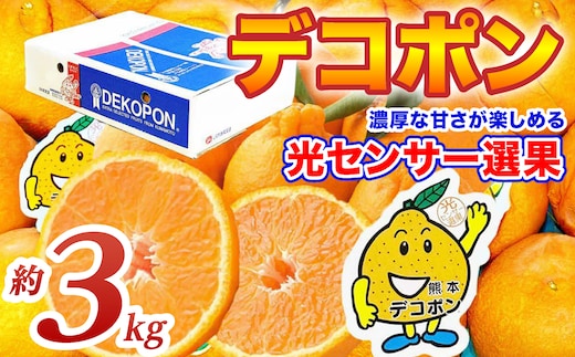 【先行予約】 デコポン 約3kg (6～13玉) でこぽん 不知火 みかん 蜜柑 柑橘 果物 フルーツ 旬 熊本県 八代市【2026年12月上旬より順次発送】