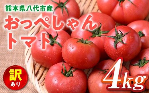 訳あり おっぺしゃんトマト 4kg トマト とまと 野菜 やさい 旬の野菜 新鮮な野菜 地元産野菜 ご当地 国産 特産品 家庭用 食卓