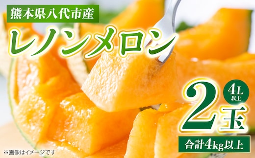 レノンメロン 2玉 4L以上（合計4kg以上）メロン 赤肉メロン 果物 果実 くだもの フルーツ 熊本県 八代市