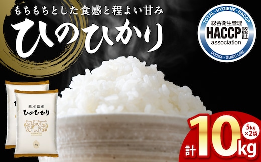 《令和7年産》 ヒノヒカリ 5kg×2袋 合計10kg 熊本県 八代市産 米 お米 精米 白米 国産