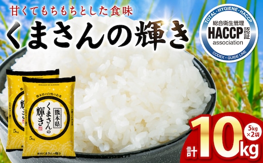 《令和7年産》くまさんの輝き 5kg×2袋 合計10kg 熊本県 八代市産 米 お米 精米 白米 国産