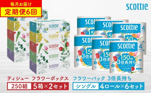 【定期便6回】【毎月お届け】【スコッティ】 ティシュー フラワーボックス 250組（5箱パック×2セット）＋フラワーパック 3倍長持ち（4ロール（シングル）パック ×6セット） ティッシュ トイレットペーパー 日用品 ストック