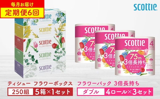 【定期便6回】【毎月お届け】【スコッティ】 ティシュー フラワーボックス 250組（5箱パック×1セット）＋フラワーパック 3倍長持ち（4ロール（ダブル）パック ×3セット） ティッシュ トイレットペーパー 日用品 ストック