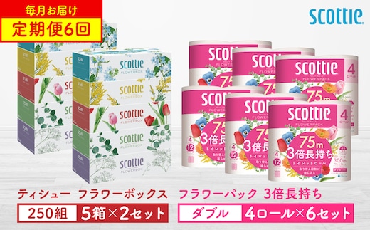 【定期便6回】【毎月お届け】【スコッティ】 ティシュー フラワーボックス 250組（5箱パック×2セット）＋フラワーパック 3倍長持ち（4ロール（ダブル）パック ×6セット） ティッシュ トイレットペーパー 日用品 ストック
