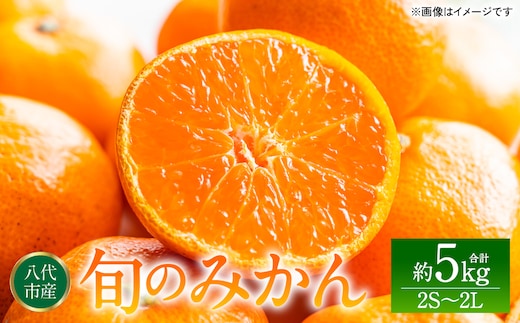 旬のみかん 2S～2Lサイズ 約5kg ミカン 柑橘 果物 フルーツ 旬 デザート