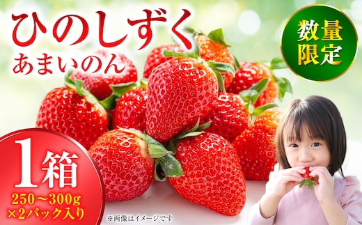 【先行予約】ひのしずく -あまいのん 新鮮 フルーツ 果物 くだもの 苺 いちご イチゴ ストロベリー 旬 熊本 八代 国産 【2026年1月下旬より順次発送】