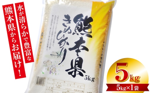 【令和7年産】 熊本県産 きぬひかり 5kg（5kg×1袋） 米 お米 精米 白米 ごはん ご飯 熊本
