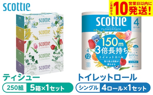 【スコッティ】 組み合わせ ティシュー フラワーボックス 250組 5箱 トイレットロール シングル フラワーパック 3倍長持ち 4ロール ティッシュ トイレットペーパー 日用品 防災備蓄 ストック 備蓄 新生活 防災 消耗品 生活用品 日用消耗品 箱ティッシュ 熊本県 八代市