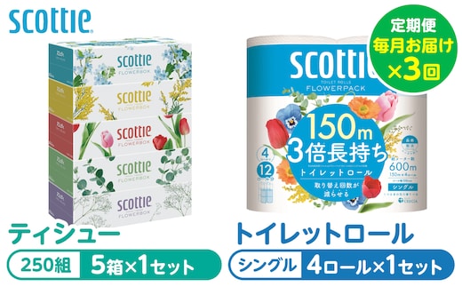 【定期便3回】【毎月お届け】【スコッティ】 組み合わせ ティシュー フラワーボックス 250組 5箱 計15箱 トイレットロール シングル フラワーパック 3倍長持ち 4ロール 計12ロール ティッシュ トイレットペーパー 日用品 防災備蓄 ストック 備蓄 新生活 防災 消耗品 生活用品 日用消耗品 箱ティッシュ 熊本県 八代市
