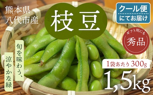 【先行予約】 熊本県八代市産 枝豆 1.5kg えだまめ エダマメ 茶豆 産地直送 おつまみ 野菜 お弁当 豆 まめ 旬 熊本県 八代市 【2026年7月上旬より順次発送】
