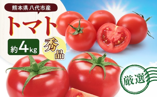 【先行予約】熊本県八代市産 トマト 約4kg (20玉または24玉) とまと 野菜 やさい サラダ 旬 旬の野菜 新鮮 新鮮な野菜 熊本県 八代市 【2027年1月上旬より順次発送】