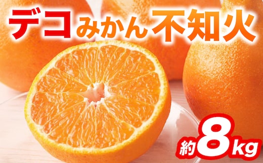 【先行予約】 不知火 デコみかん (デコポン同品種) 約8kg (18～37玉) フルーツ くだもの 果物 みかん 蜜柑 ミカン 柑橘 おやつ デザート 旬 熊本県 八代市 【2027年2月上旬より順次発送】
