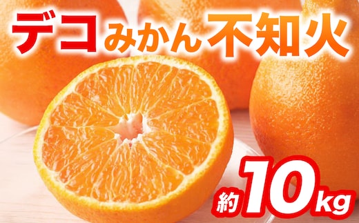 【先行予約】 不知火 デコみかん (デコポン同品種) 約10kg (24～48玉) フルーツ くだもの 果物 みかん 蜜柑 ミカン 柑橘 おやつ デザート 旬 熊本県 八代市 【2027年2月上旬より順次発送】
