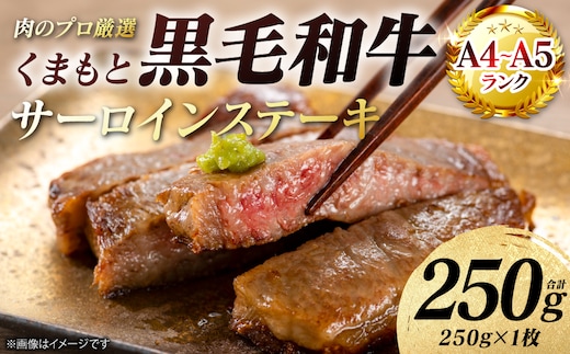 【A4～A5ランク】 くまもと黒毛和牛 サーロイン ステーキ 250g （250g×1枚） 和牛ステーキ 牛肉 お肉 サーロイン 黒毛和牛 冷凍 焼肉 BBQ おかず ギフト 熊本県 八代市