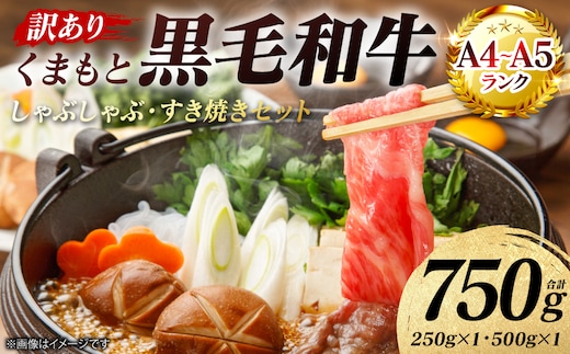 【訳あり】 【A4～A5ランク】 くまもと黒毛和牛 しゃぶしゃぶ すき焼き セット 750g 牛肉 お肉 黒毛和牛 冷凍 小分け おかず 熊本県 八代市