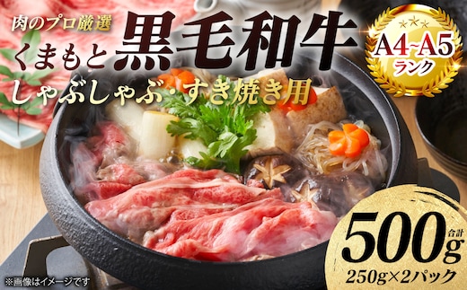 【A4～A5ランク】 くまもと黒毛和牛 しゃぶしゃぶ すき焼き用 （肩ロース） 500g （250g×2パック） 牛肉 お肉 ロース 黒毛和牛 冷凍 小分け おかず ギフト 熊本県 八代市