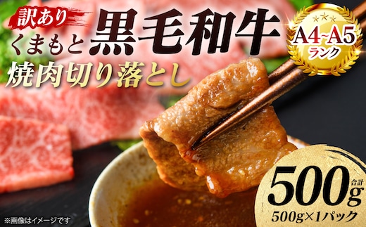 【訳あり】 【A4～A5ランク】 くまもと黒毛和牛 焼肉 切り落とし 500g （500g×1パック） 肩ロース バラ 牛肉 お肉 黒毛和牛 冷凍 焼肉 BBQ おかず 熊本県 八代市