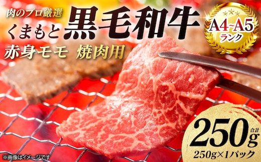 【A4～A5ランク】 くまもと黒毛和牛 赤身 モモ 焼肉用 250g （250g×1パック） 和牛 牛肉 お肉 黒毛和牛 冷凍 焼肉 BBQ おかず 熊本県 八代市