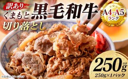 【訳あり】 【A4～A5ランク】 くまもと黒毛和牛 切り落とし 250g （250g×1パック） 和牛 牛肉 お肉 黒毛和牛 牛肩 バラ 冷凍 炒め物 すき焼き しゃぶしゃぶ おかず 熊本県 八代市
