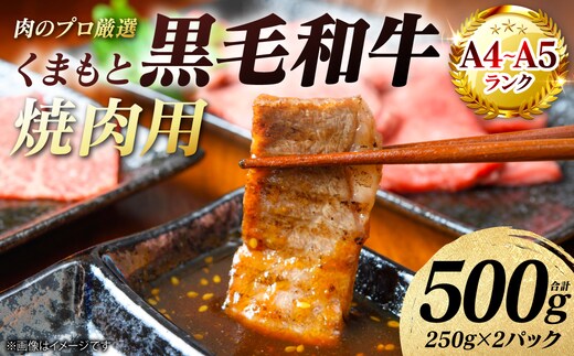 【A4～A5ランク】 くまもと黒毛和牛 焼肉用 500g （250g×2パック） 和牛 牛肉 お肉 黒毛和牛 冷凍 焼肉 BBQ おかず ギフト 熊本県 八代市