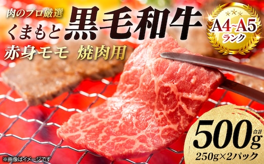 【A4～A5ランク】 くまもと黒毛和牛 赤身 モモ 焼肉用 500g （250g×2パック） 和牛 牛肉 お肉 黒毛和牛 冷凍 焼肉 BBQ おかず 熊本県 八代市
