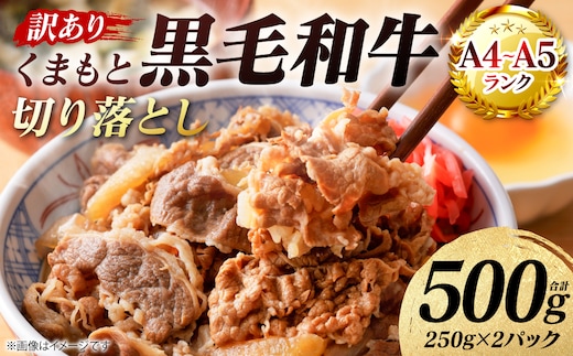 【訳あり】 【A4～A5ランク】 くまもと黒毛和牛 切り落とし 500g （250g×2パック） 和牛 牛肉 お肉 黒毛和牛 牛肩 バラ 冷凍 炒め物 すき焼き しゃぶしゃぶ おかず 熊本県 八代市
