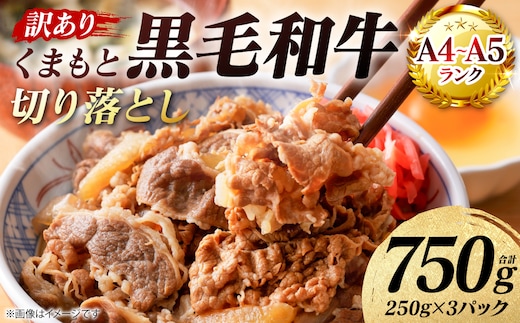 【訳あり】 【A4～A5ランク】 くまもと黒毛和牛 切り落とし 750g （250g×3パック） 和牛 牛肉 お肉 黒毛和牛 牛肩 バラ 冷凍 炒め物 すき焼き しゃぶしゃぶ おかず 熊本県 八代市