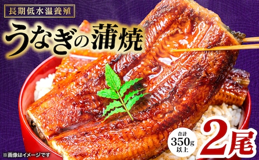 【先行予約】 うなぎの蒲焼 2尾 （合計350g以上） 鰻 うなぎ ウナギ 国産 冷凍 うな重 蒲焼 丑の日 熊本県 八代市 【2026年9月中旬より順次発送】