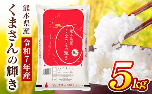 《令和7年産》 くまさんの輝き 5kg×1袋 米 お米 精米 白米 ごはん ご飯 おにぎり お弁当 熊本県 八代市