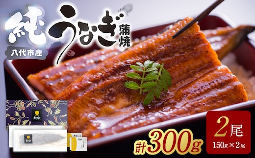 【先行予約】 うなぎ蒲焼2尾セット（150g×2尾）合計300g たれ・山椒付き 鰻 うなぎ ウナギ 国産 冷凍 うな重 蒲焼 丑の日 鰻楽 熊本県 八代市 【2026年10月中旬より順次発送】