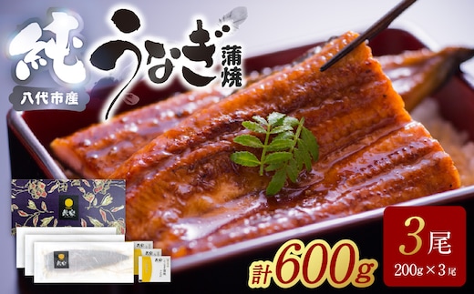 【先行予約】 うなぎ蒲焼3尾セット（200g×3尾）合計600g たれ・山椒付き 鰻 うなぎ ウナギ 国産 冷凍 うな重 蒲焼 丑の日 鰻楽 熊本県 八代市 【2026年10月中旬より順次発送】
