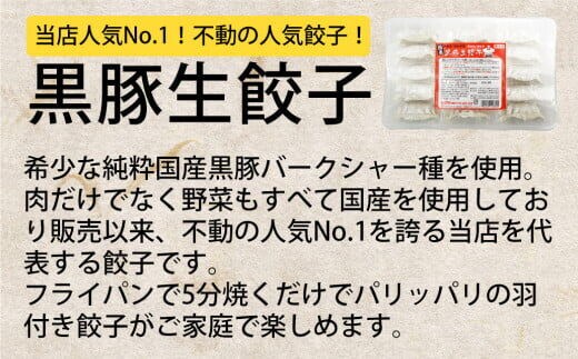 八代市東陽町の生姜を使った 餃子の王国 人気生餃子126個 ぎょうざ