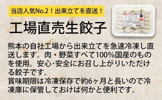 八代市東陽町の生姜を使った 餃子の王国 人気生餃子126個 ぎょうざ