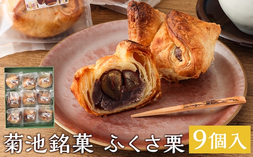 菊池銘菓 ふくさ栗 1箱（9個入り）《90日以内に出荷予定(土日祝除く)》---074-1255---