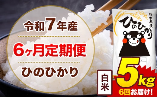 【6ヶ月定期便】令和7年産 白米 5kg 米 ひのひかり《お申込み月の翌月から出荷開始》熊本県 菊池市 国産 熊本県産 白米 精米 無洗米 送料無料 ヒノヒカリ こめ お米---300-4245---