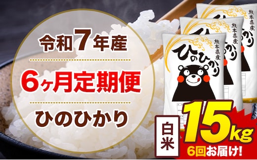 【6ヶ月定期便】令和7年産 白米 15kg 米 ひのひかり《お申込み翌月から出荷》熊本県 菊池市 国産 熊本県産 白米 精米 無洗米 送料無料 ヒノヒカリ こめ お米---300-4251---