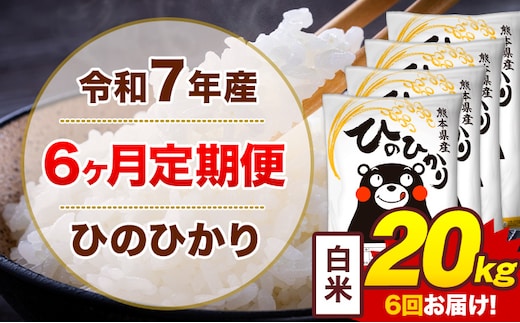 【6ヶ月定期便】令和7年産 白米 20kg 米 ひのひかり《お申込み翌月から出荷》熊本県 菊池市 国産 熊本県産 白米 精米 無洗米 送料無料 ヒノヒカリ こめ お米---300-4254---