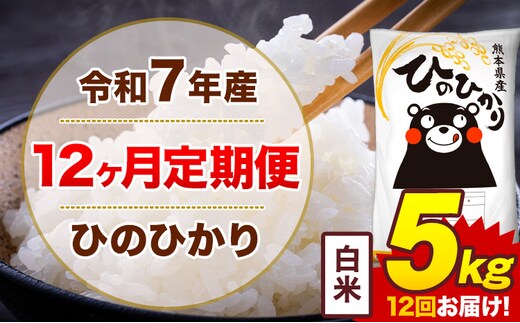 【12ヶ月定期便】令和7年産 白米 5kg 米 ひのひかり《お申込み月の翌月から出荷開始》熊本県 菊池市 国産 熊本県産 白米 精米 無洗米 送料無料 ヒノヒカリ こめ お米---300-4246---