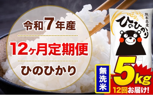 【12ヶ月定期便】令和7年産 無洗米 5kg 米 ひのひかり《お申込み月の翌月から出荷開始》熊本県 菊池市 国産 熊本県産 白米 精米 無洗米 送料無料 ヒノヒカリ こめ お米---300-4258---