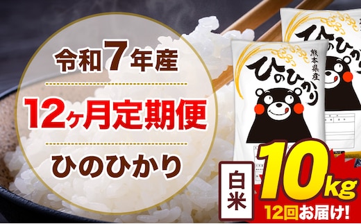 【12ヶ月定期便】令和7年産 白米 10kg 米 ひのひかり《お申込み翌月から出荷》熊本県 菊池市 国産 熊本県産 白米 精米 無洗米 送料無料 ヒノヒカリ こめ お米---300-4249---