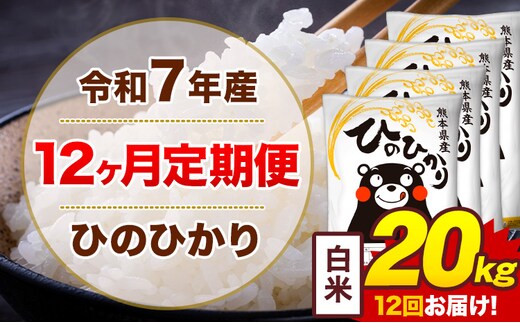 【12ヶ月定期便】令和7年産 白米 20kg 米 ひのひかり《お申込み翌月から出荷》熊本県 菊池市 国産 熊本県産 白米 精米 無洗米 送料無料 ヒノヒカリ こめ お米---300-4255---