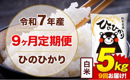 【9ヶ月定期便】米 ひのひかり 白米 定期便 5kg 《お申込み翌月から出荷》熊本県 菊池市 国産 熊本県産 白米 精米 送料無料 ヒノヒカリ こめ お米---300-4292---