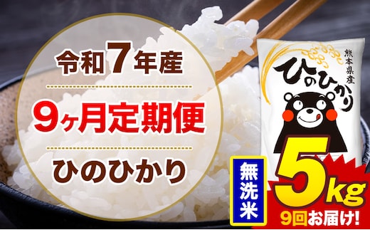 【9ヶ月定期便】米 ひのひかり 無洗米 定期便 5kg 《お申込み翌月から出荷》熊本県 菊池市 国産 熊本県産 無洗米 精米 送料無料 ヒノヒカリ こめ お米---300-4293---