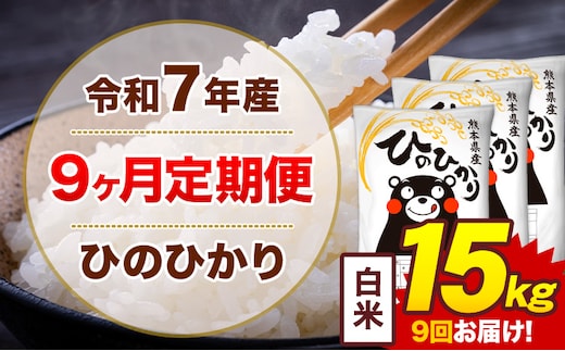 【9ヶ月定期便】米 ひのひかり 白米 定期便 15kg 《お申込み翌月から出荷》熊本県 菊池市 国産 熊本県産 白米 精米 送料無料 ヒノヒカリ こめ お米---300-4296---