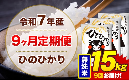 【9ヶ月定期便】米 ひのひかり 無洗米 定期便 15kg 《お申込み翌月から出荷》熊本県 菊池市 国産 熊本県産 無洗米 精米 送料無料 ヒノヒカリ こめ お米---300-4297---