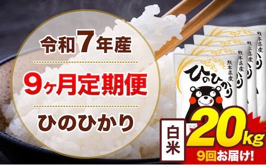【9ヶ月定期便】米 ひのひかり 白米 定期便 20kg 《お申込み翌月から出荷》熊本県 菊池市 国産 熊本県産 白米 精米 送料無料 ヒノヒカリ こめ お米---300-4298---
