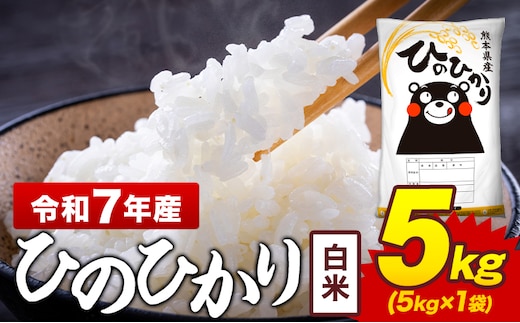 令和7年産 白米 米 ひのひかり 5kg《7-14日以内に出荷予定(土日祝除く)》熊本県 菊池市 国産 熊本県産 白米 精米 送料無料 ヒノヒカリ こめ お米 ---300-4373---