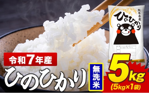 令和7年産 無洗米 米 ひのひかり 5kg《7-14日以内に出荷予定(土日祝除く)》熊本県 菊池市 国産 熊本県産 精米 無洗米 送料無料 ヒノヒカリ こめ お米 ---300-4377---