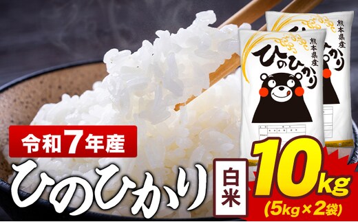 令和7年産 白米 米 ひのひかり 10kg《7-14日以内に出荷予定(土日祝除く)》熊本県 菊池市 国産 熊本県産 白米 精米 送料無料 ヒノヒカリ こめ お米 ---300-4374---
